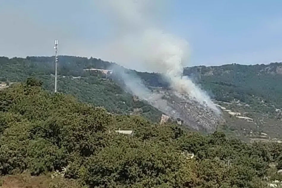 L'incendio alla periferia di Arzana (foto Secci)