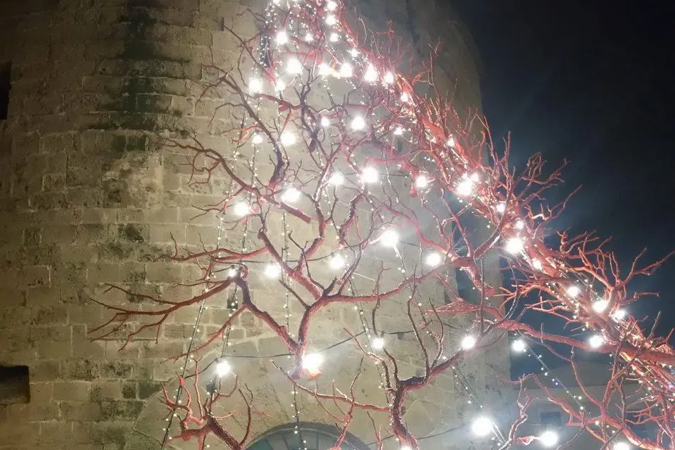 La punta dell'albero &quot;Coralli di luce&quot; (foto Caterina Fiori)