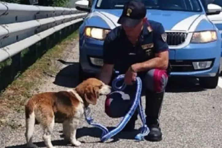 (foto Polizia)