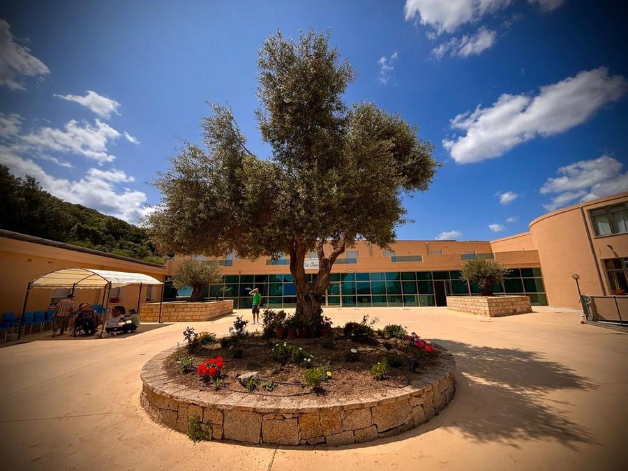 Olbia: nuova vita per Villa Chiara, la casa dei giovani con disabilità