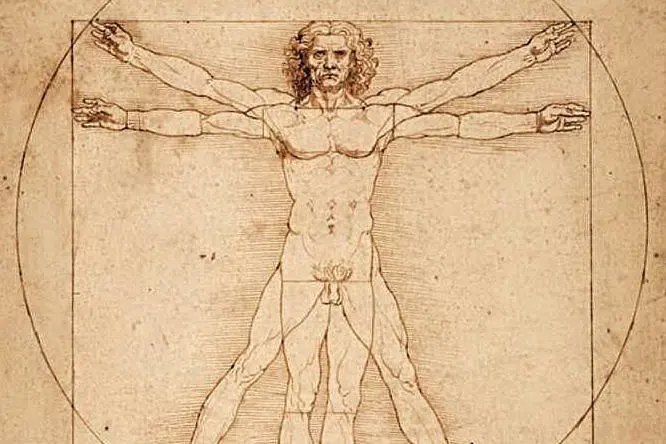 Particolare dell'Uomo Vitruviano di Leonardo (Ansa)