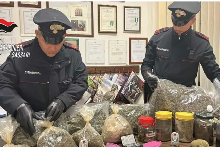 La marijuana sequestrata dai carabinieri (foto carabinieri)