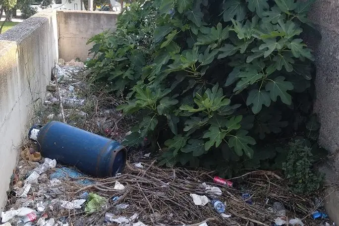 La bombola gpl in mezzo ai rifiuti (foto Pala)