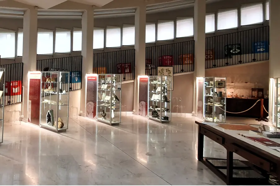 Il Museo scientifico dell'Università di Sassari (foto ufficio stampa)