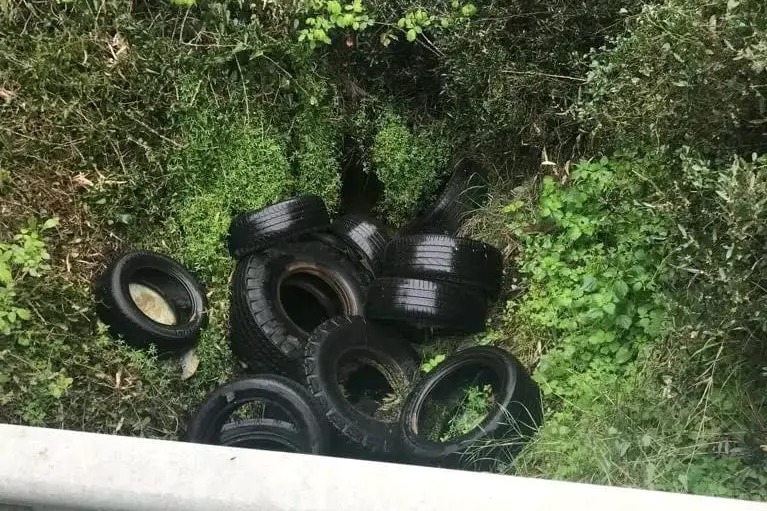 Una discarica scoperta dal Comune nel 2018 (foto Pinna)