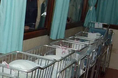 Il nido di un ospedale - foto d'archivio