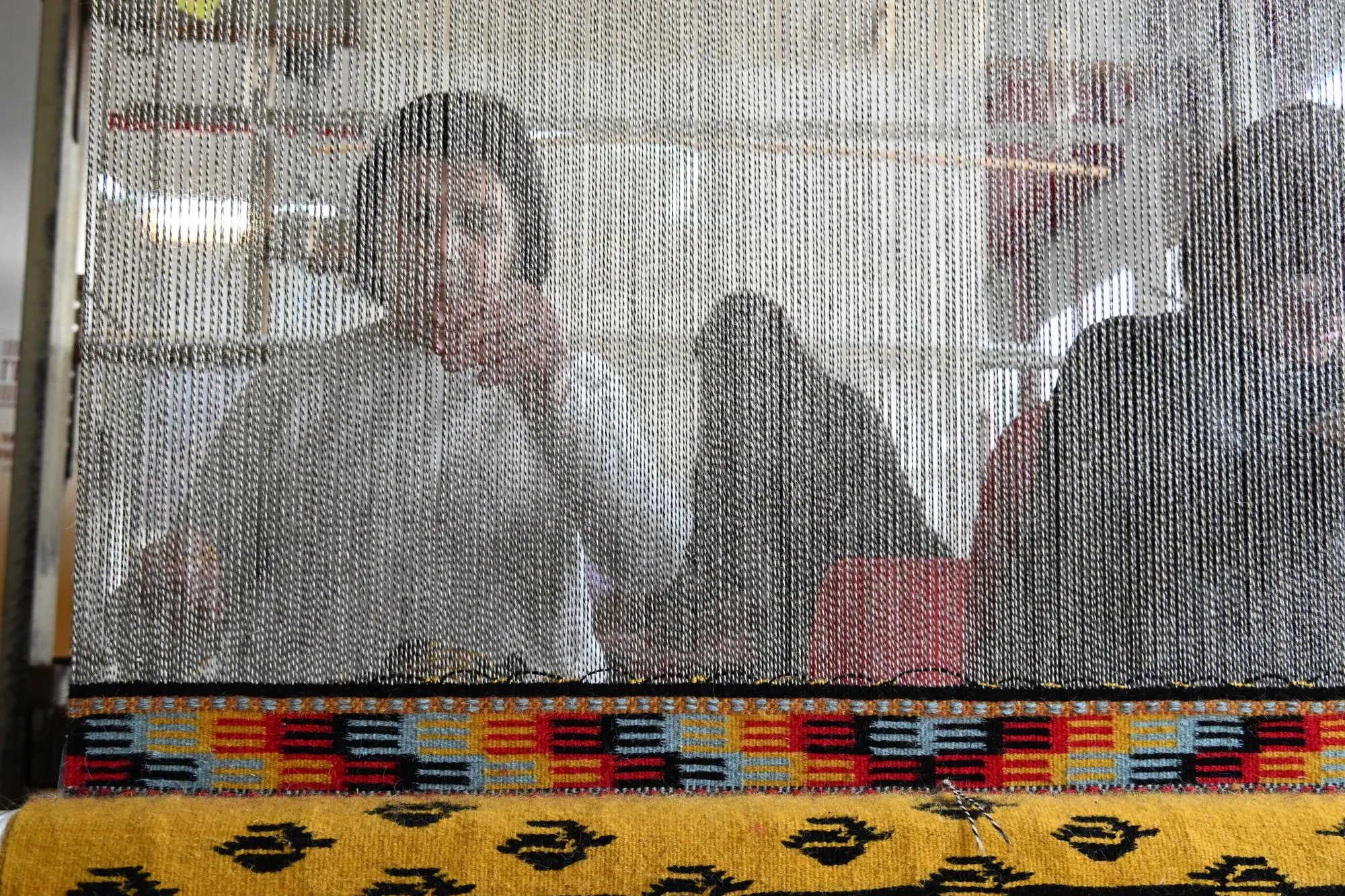 Un'immagine dell'esposizione (foto di Massimo Locci per Nature and History srls e Comune di Nule)