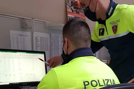 Immagine simbolo (Ansa)