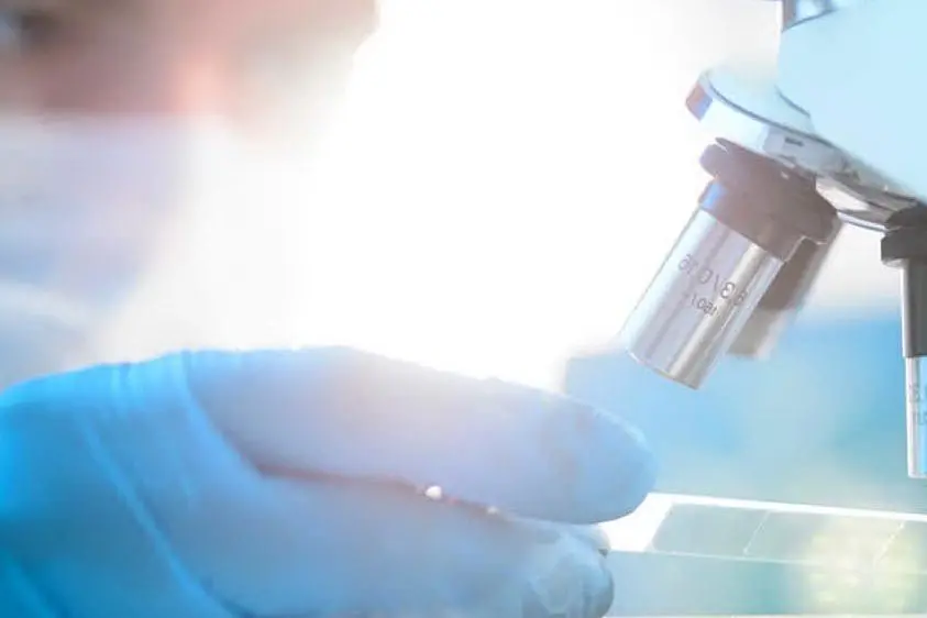 (foto da Bioscience Institute Facebook)