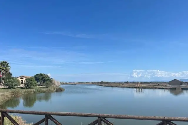 Lo stagno di Cabras (Foto Sara Pinna)