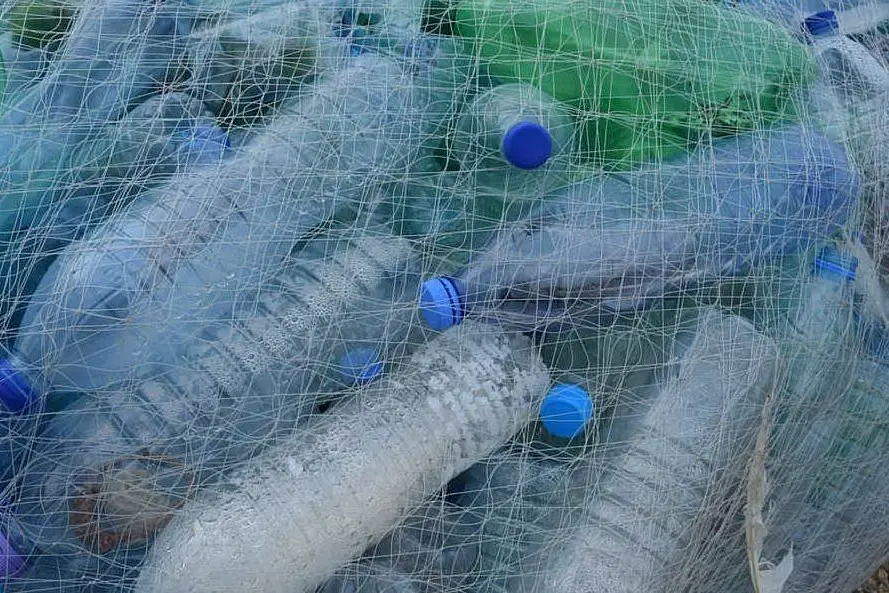 Bottiglie di plastica (foto Pixabay)