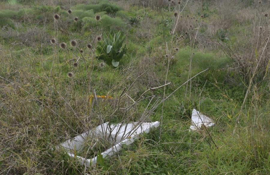 Pauli Mattauri, tempi lunghi per la bonifica