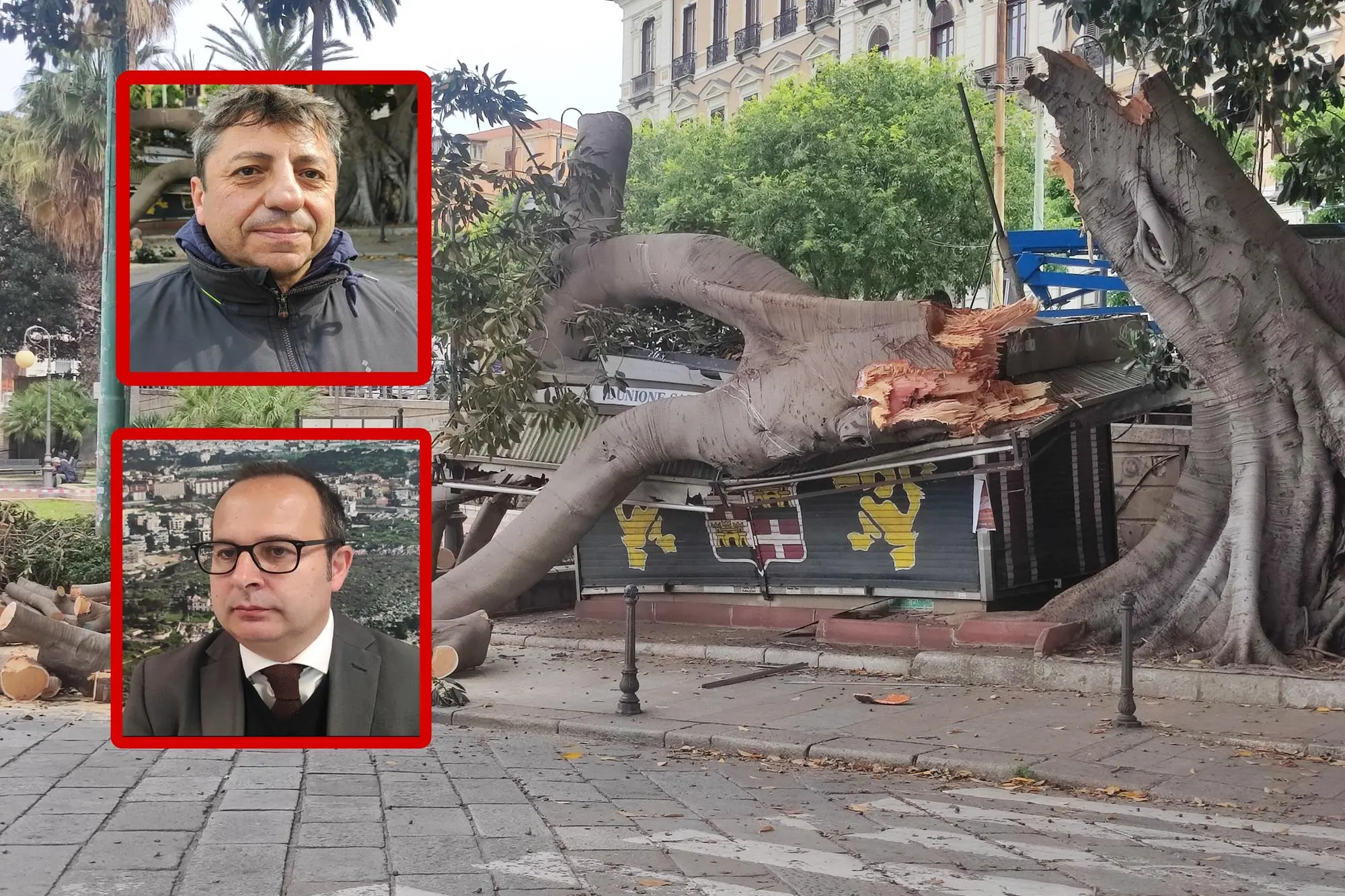 L'albero crollato. Nei riquadri, in alto l'edicolante Antonio Durzu. In basso l'assessore Giorgio Angius (L'Unione Sarda)