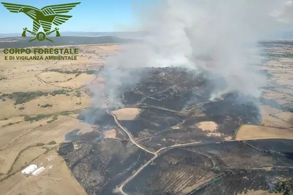 L'incendio nella zona di Ploaghe (foto Corpo forestale)