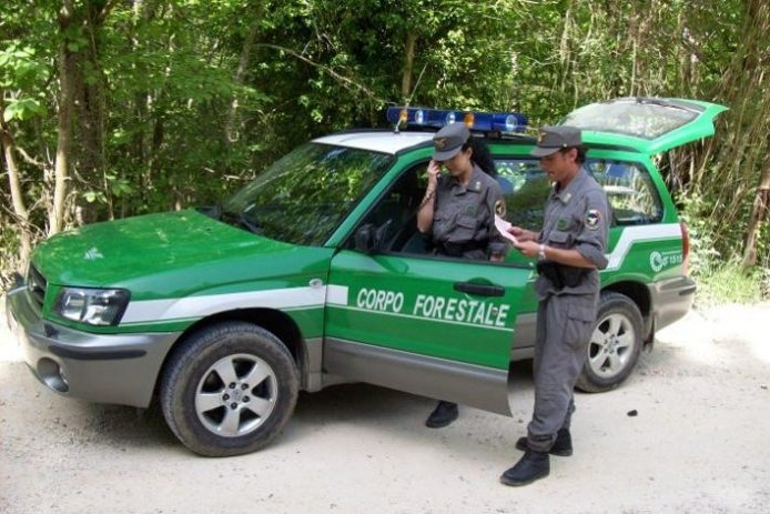 Il ministero recluta 11 tenenti per il corpo Forestale dei Carabinieri