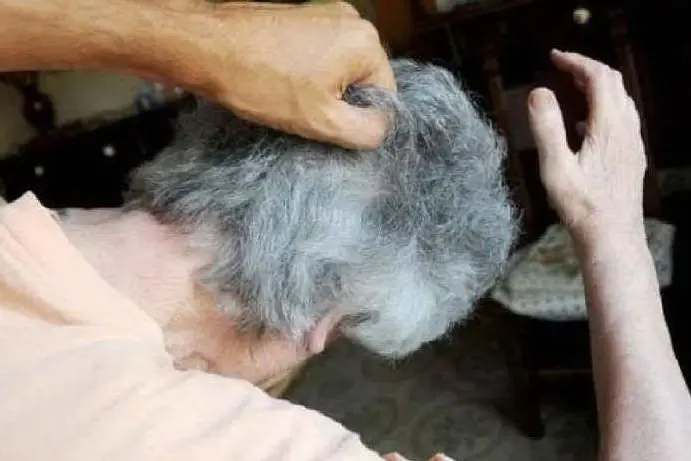 Immagine simbolo