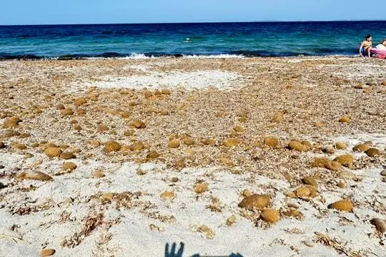 La spiaggia di Arborea (foto Sara Pinna)