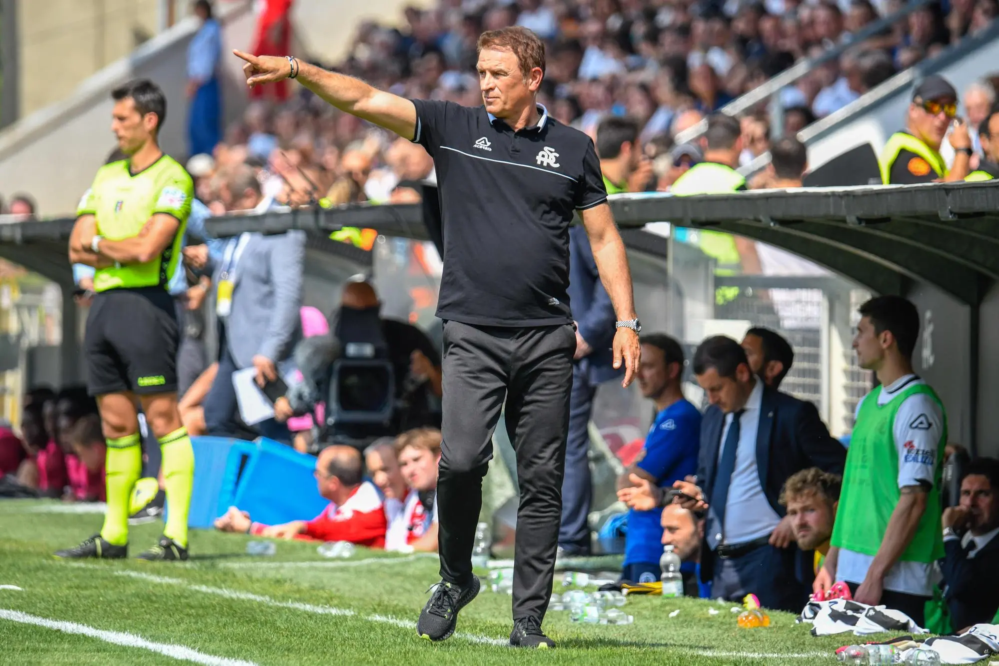 Leonardo Simple (Ansa)