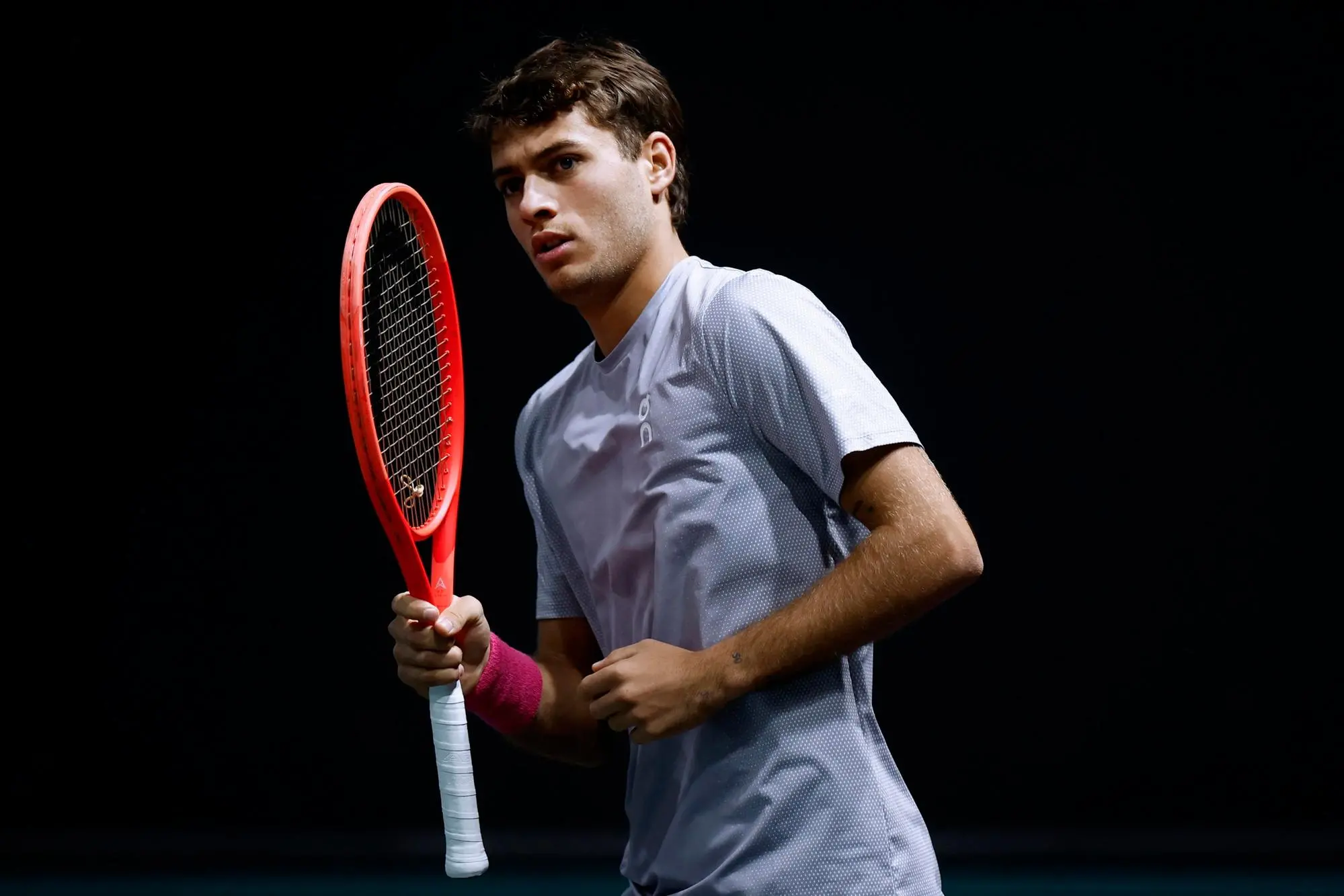 Flavio Cobolli (Ansa)