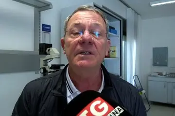 Cagliari, topi e blatte nelle scuole. Il dg della Città metropolitana: «Interventi in corso»