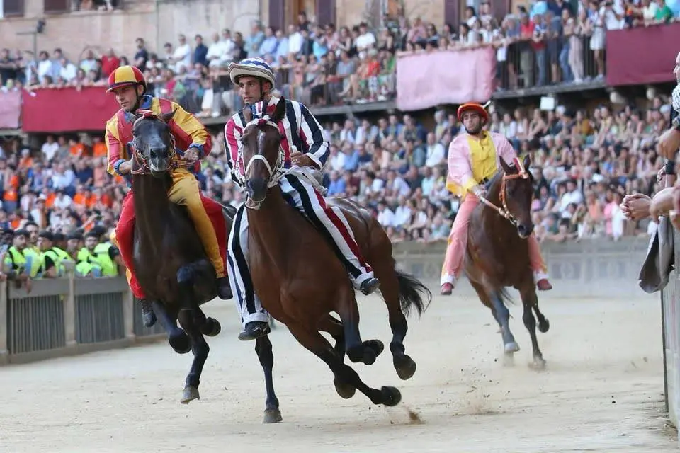 Palio di Siena (foto Asl Nuoro)
