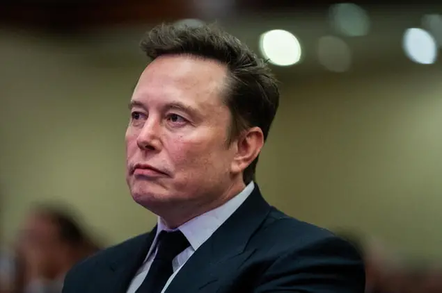 Elon Musk (Ansa)