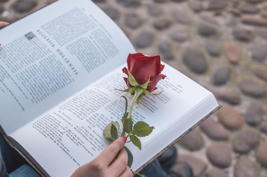 “Vetrine da Leggere” nel centro storico di Alghero