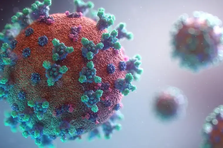 Il virus Covid-19 in 3D (Unsplash)
