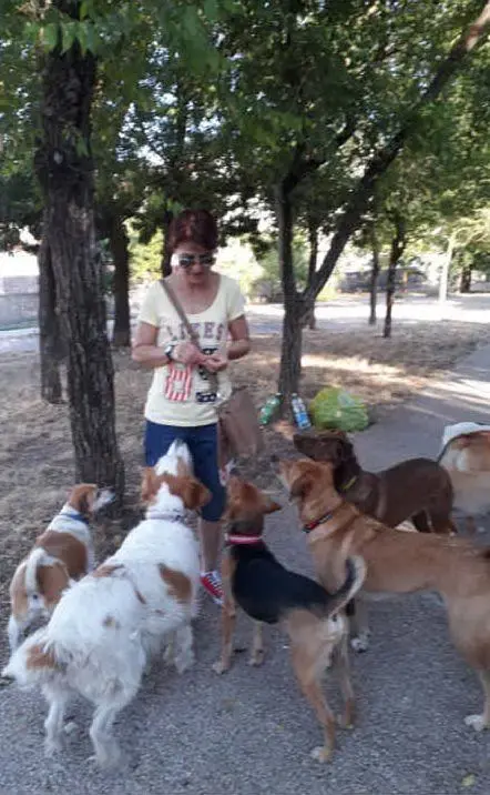 Jo Sotgiu di Macomer