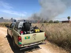 Il corpo forestale sempre in prima linea nella campagna antincendio (foto archivio L'Unione Sarda)