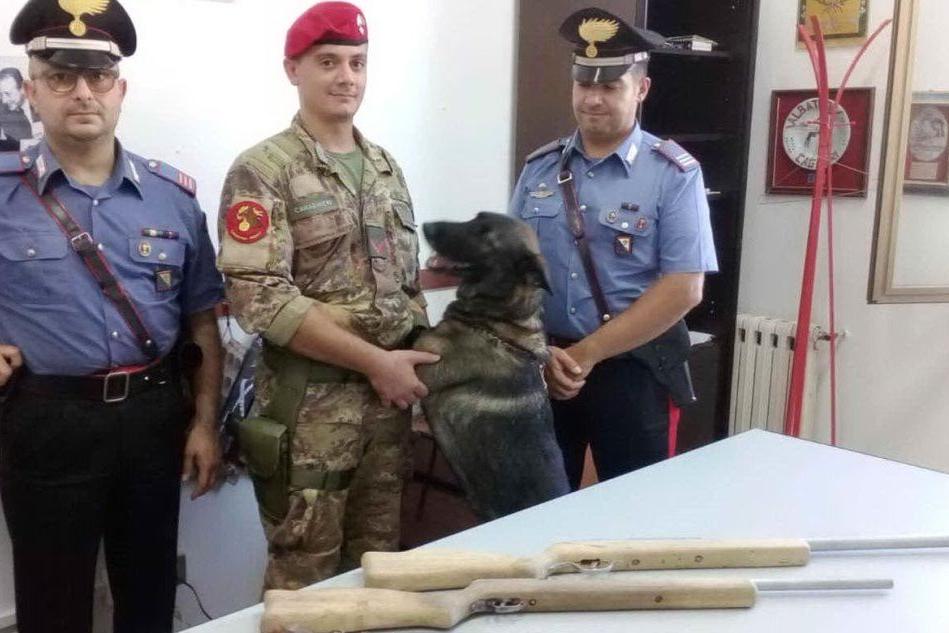 Armi clandestine nascoste sottoterra a Girasole, arrestato 45enne
