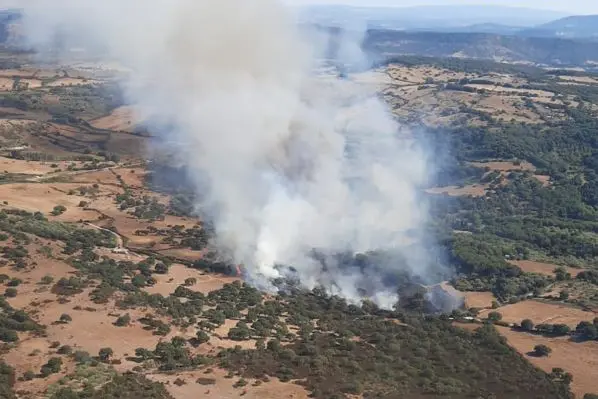Incendio a Ittiri (foto Corpo Forestale)