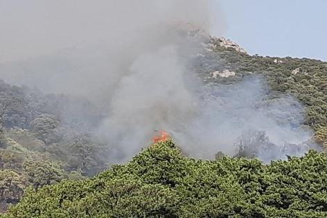 Ancora fiamme in Gallura, in azione elicotteri e Canadair: “Territorio in fumo per colpa di mani criminali”