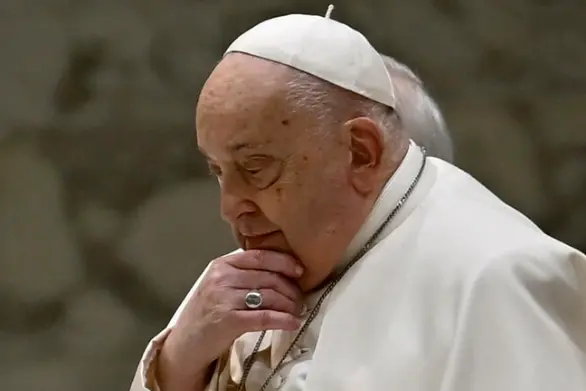 Papa Francesco (Ansa)