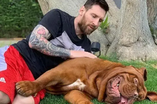Giornata Mondiale del cane: Messi col suo Hulk