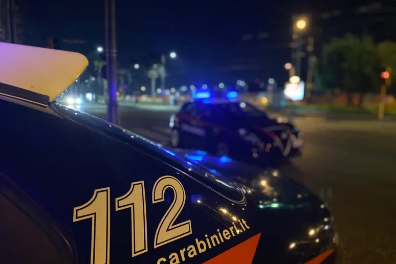 Carabinieri (foto Ansa)