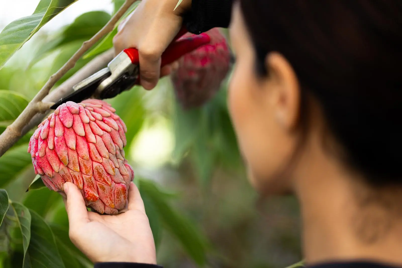 contentid/998c7b25-309f-44e0-b0ca-7646133e2739