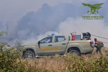 Un mezzo dell'antincendio (Ansa - Corpo forestale)