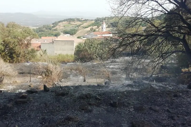 Un'immagine della collina bruciata (L'Unione Sarda - Tellini)