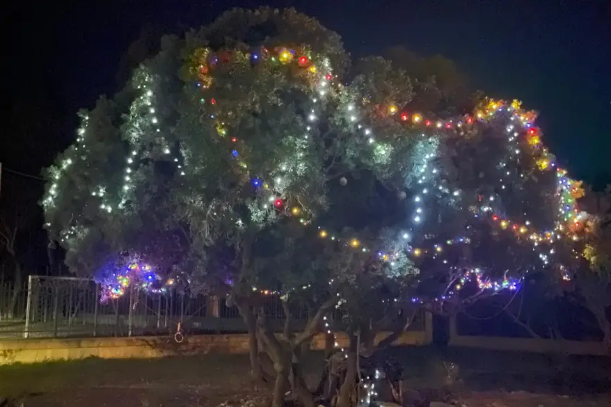 L'albero di Natale in via Sagittario (foto Serreli)