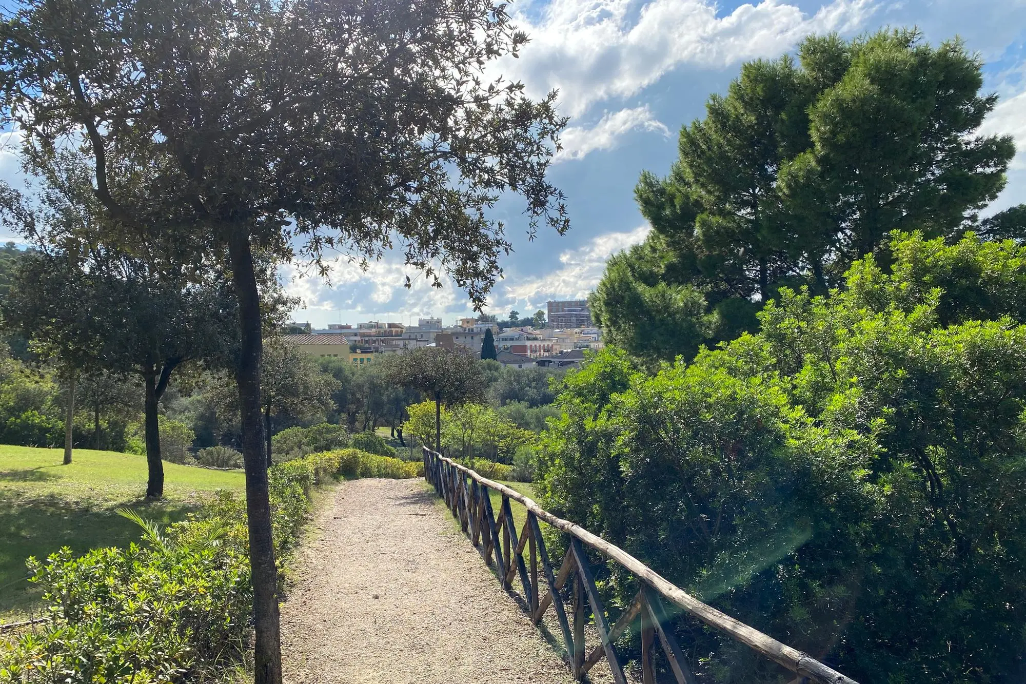 Il parco di Monte Urpinu (foto Max Solinas)
