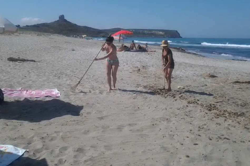 I turisti puliscono la spiaggia