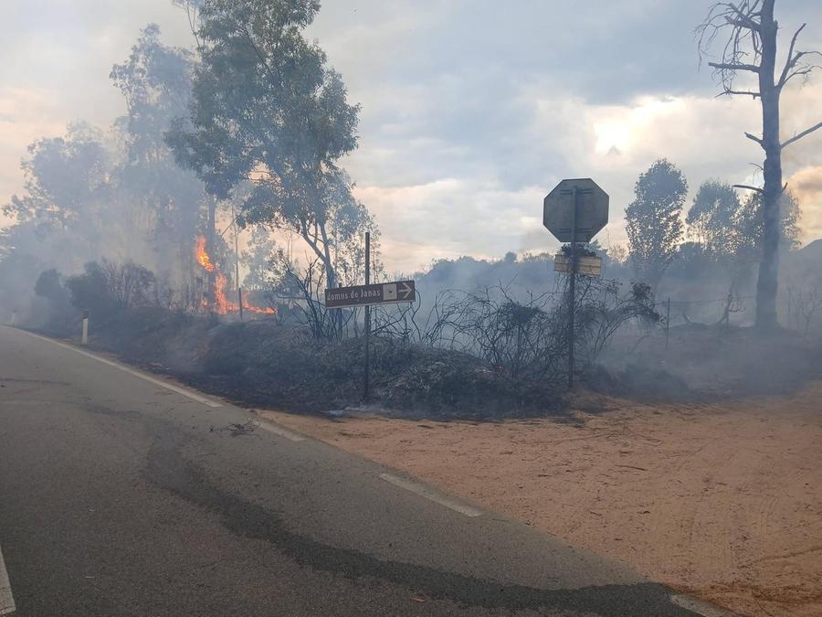 Lotzorai, vasto incendio in campagna: in azione la macchina antincendio