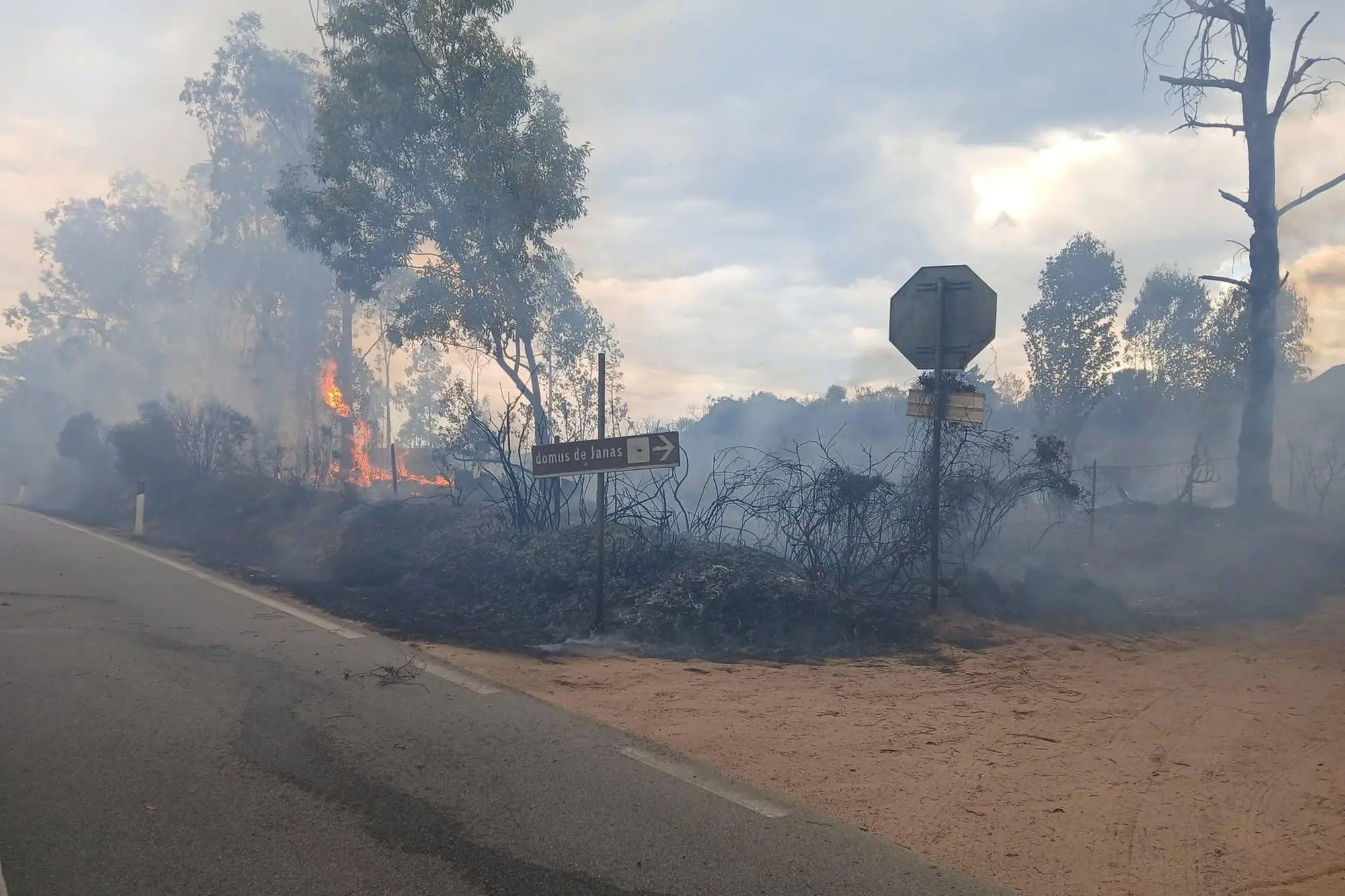L'incendio a Lotzorai (foto Secci)