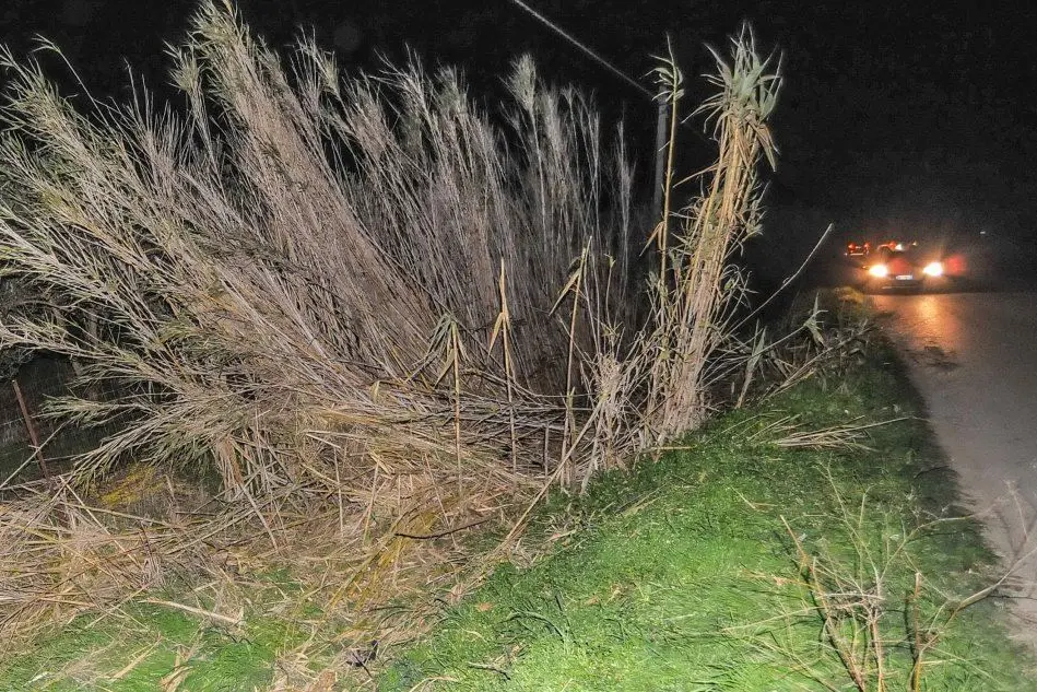 Il luogo dell'incidente (foto Angelo Cucca)