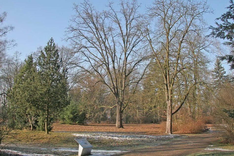 Il parco della cittadina ceca di Lázne Bohdanec (foto Wikipedia)