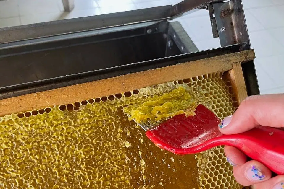 Produzione di miele (foto concessa)