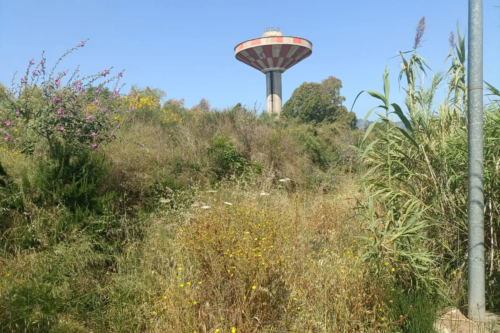 L'area che va dalla foce alle abitazioni (Murgana)
