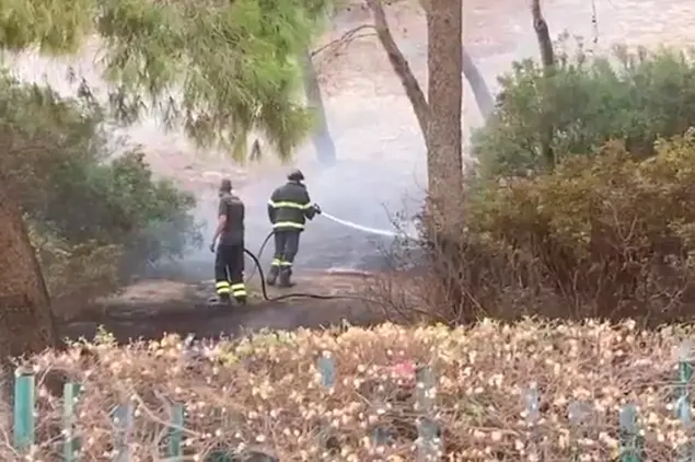 Vigili del fuoco al lavoro sul colle di San Michele