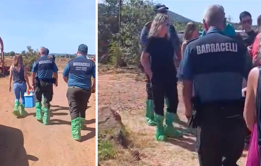 Veterinari bloccati dai no vax a Masainas, l’Asl: «Ora denun